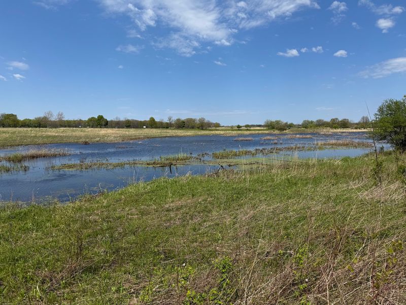 Paul Douglas Preserve, Illinois, Hoffman Estates