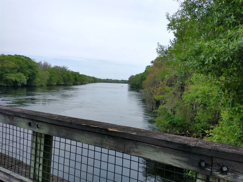Paved Miles Through Florida's Quiet Big Bend