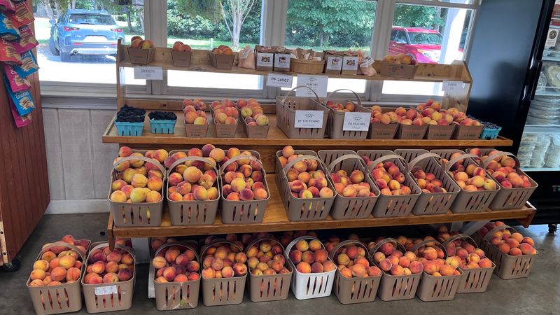 Peaches, Sourdough, and Seasonal Produce Peaches, Sourdough, and Seasonal Produce