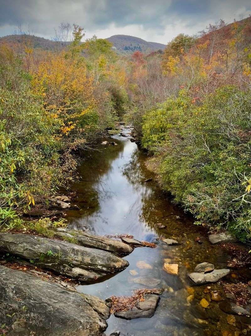 Peak Fall Color in an Open Valley