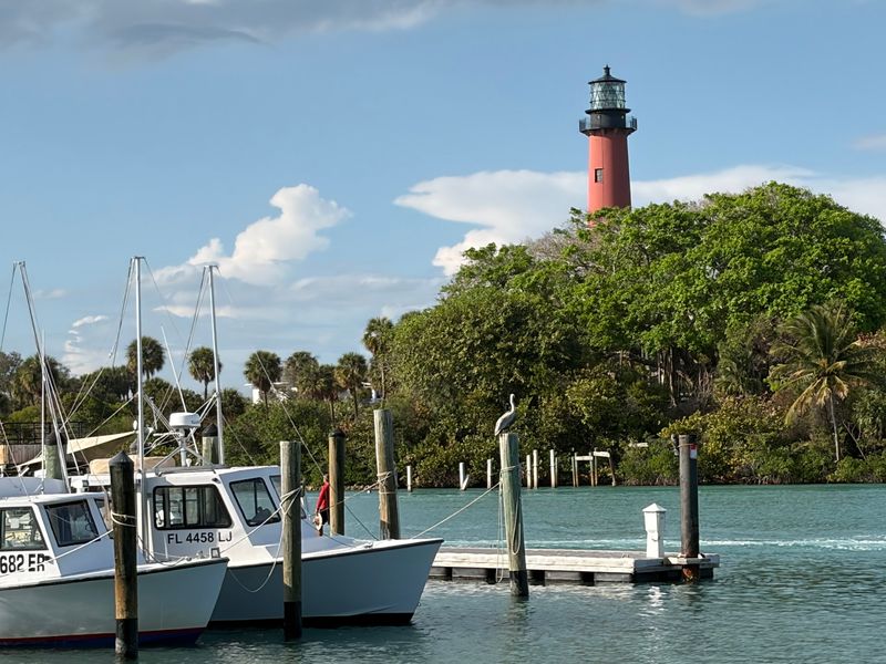 Pelicans, Fishermen, and Boat Watching From the Dock