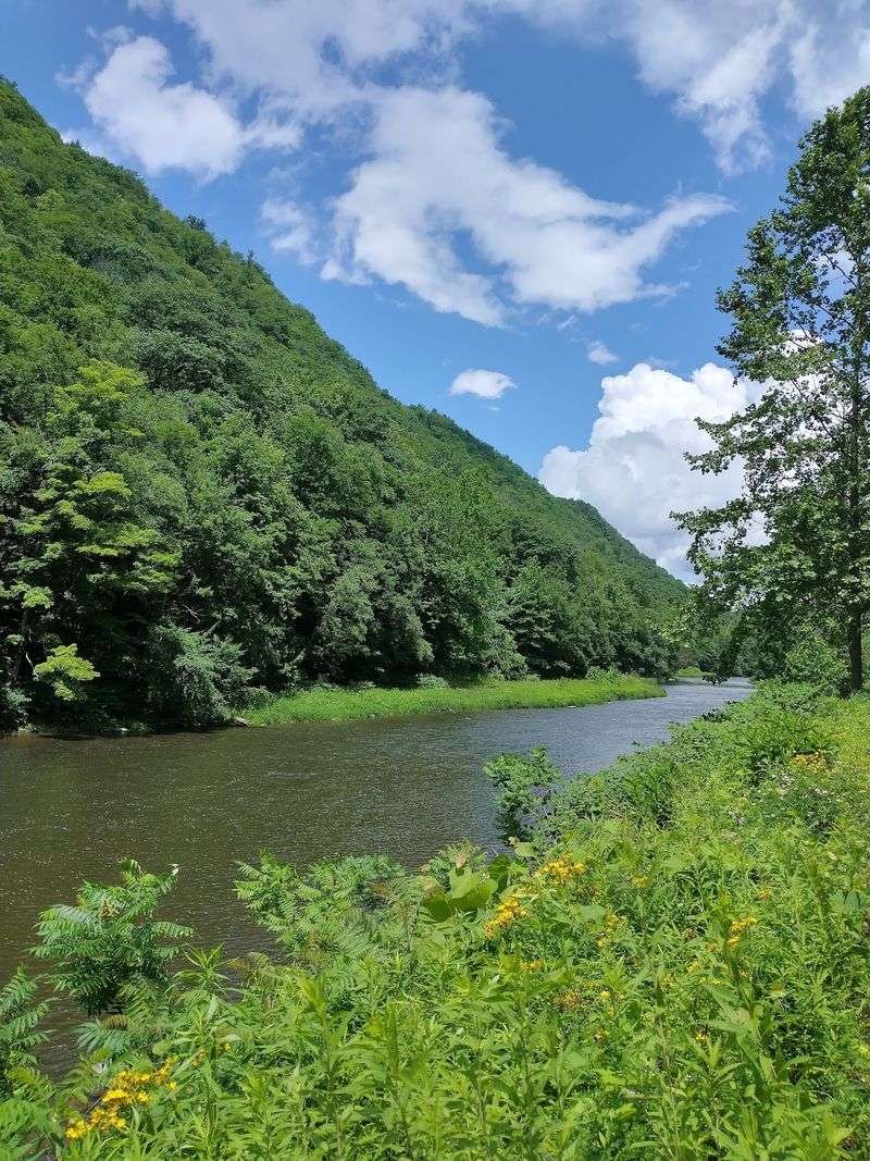 Pennsylvania Has a Grand Canyon, Who Knew