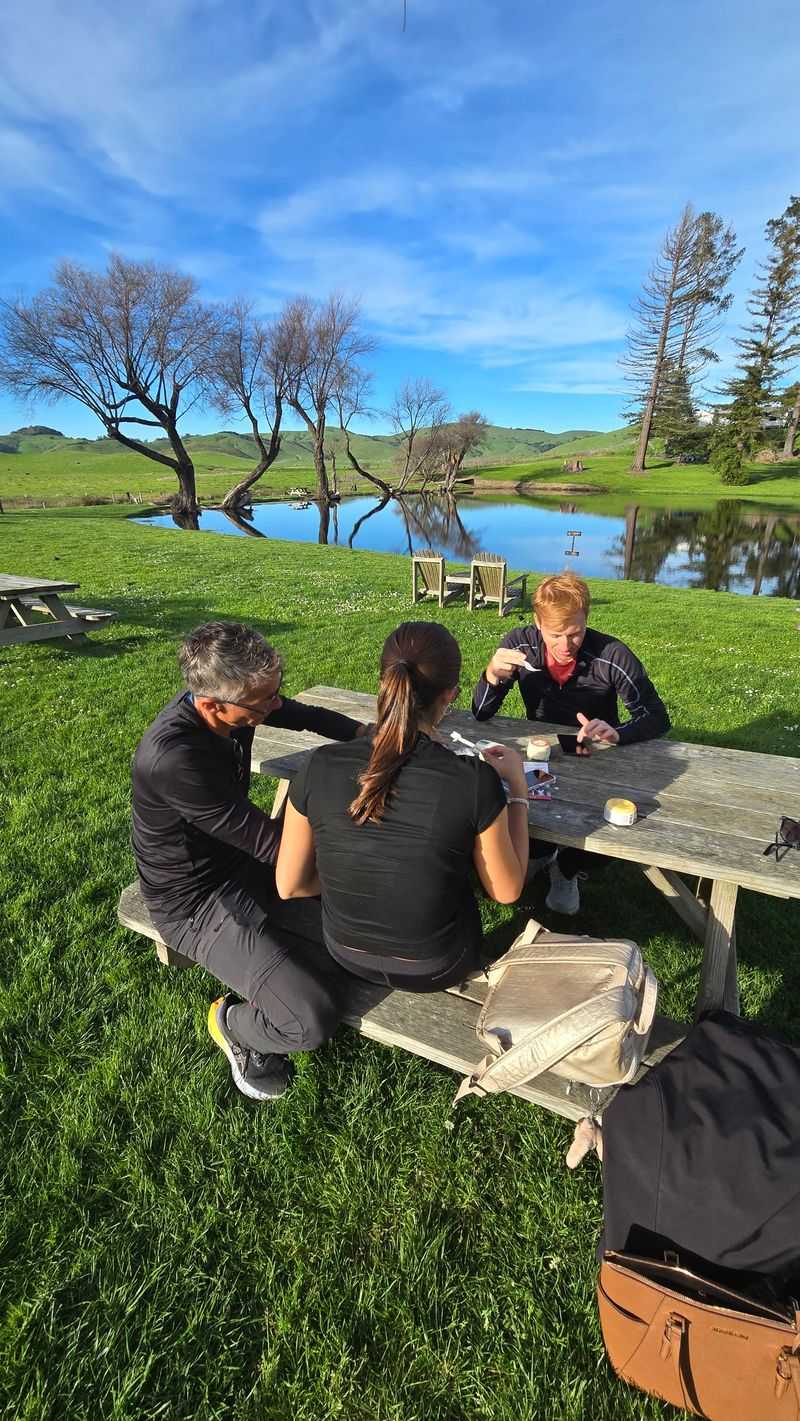 Perfect for Dates, Families, and Road Trippers Perfect for Dates, Families, and Road Trippers