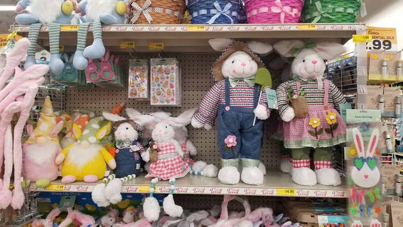 Pet Supplies, Gifts and Odd Little Treasures