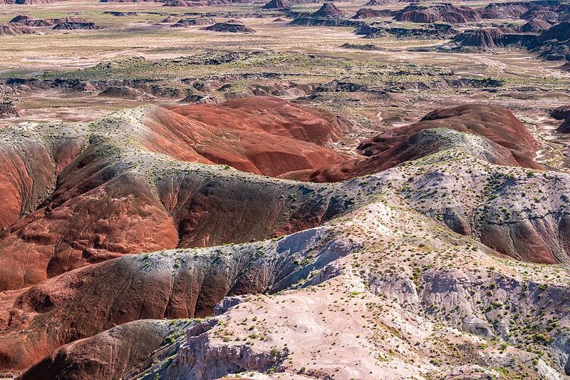 Petrified Forest National Park, Arizona Petrified Forest National Park, Arizona