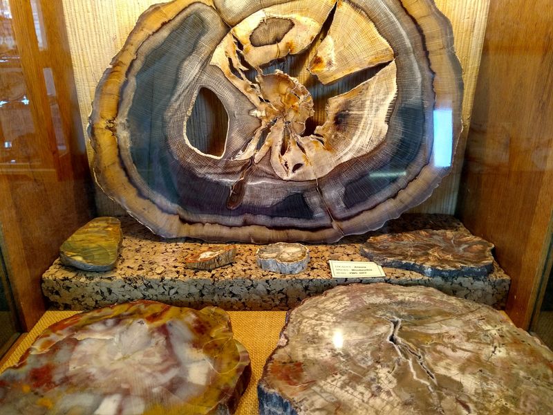 Petrified Wood Gallery, Ogallala, Nebraska Petrified Wood Gallery, Ogallala, Nebraska