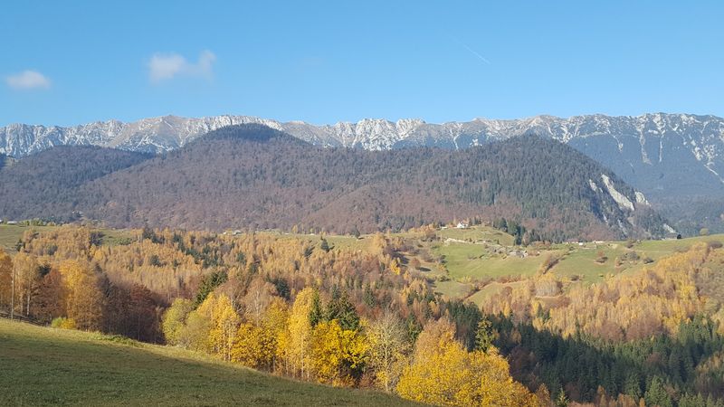 Piatra Craiului National Park, Zărnești, Brașov County, Romania Piatra Craiului National Park, Zărnești, Brașov County, Romania