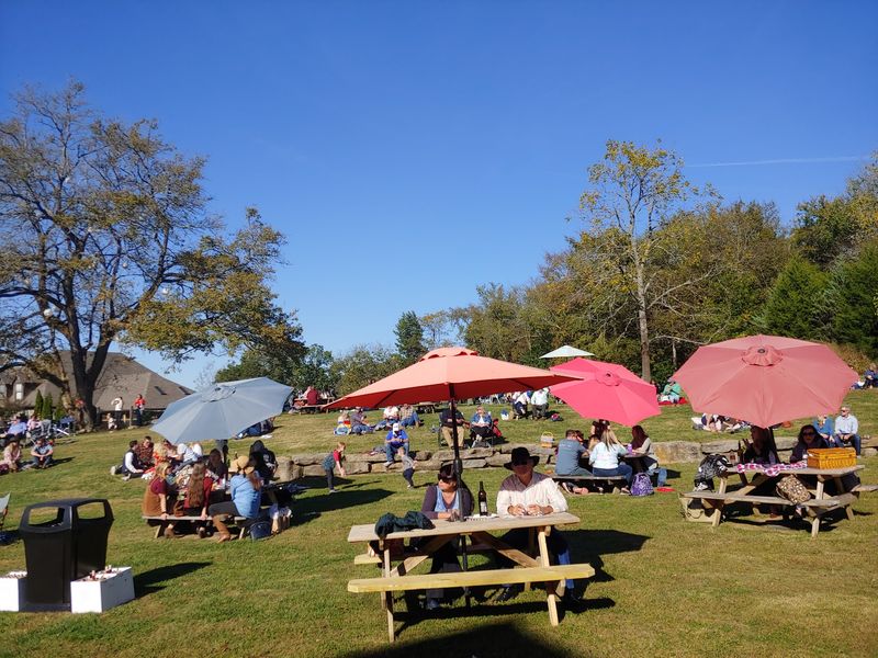 Picnic Rules Worth Celebrating