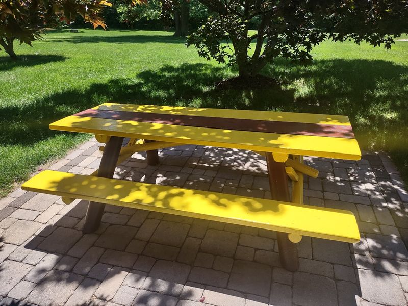 Picnic Tables Instead of a Dining Room Picnic Tables Instead of a Dining Room