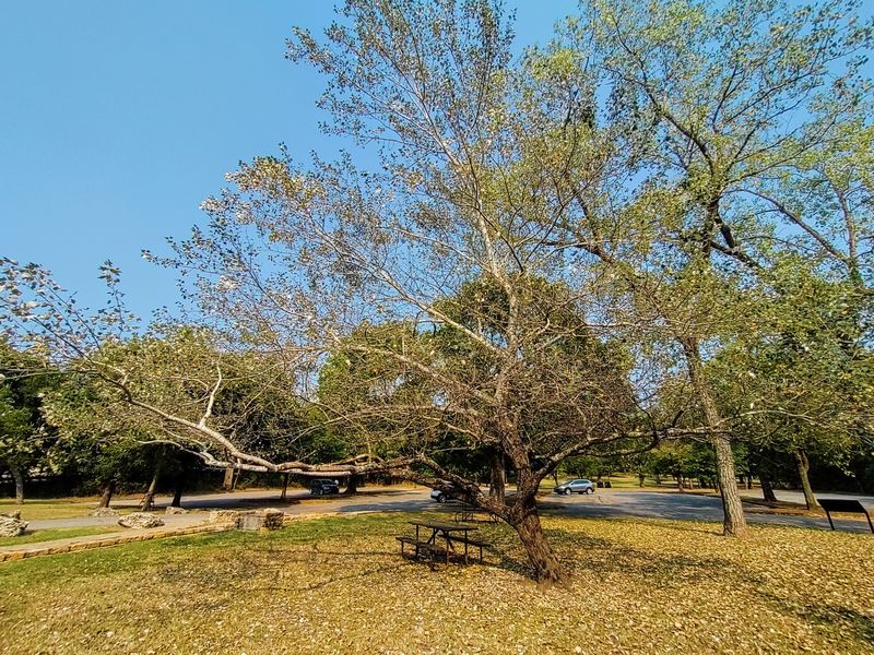 Picnic Tables Made for Lazy Afternoons Picnic Tables Made for Lazy Afternoons