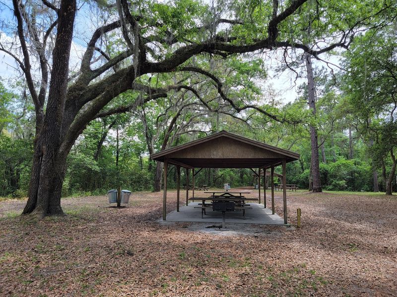 Picnic Tables Under the Trees Picnic Tables Under the Trees