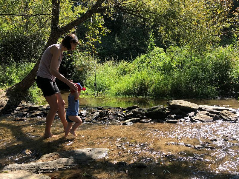 Picnics Beside a Little Mountain Stream Picnics Beside a Little Mountain Stream