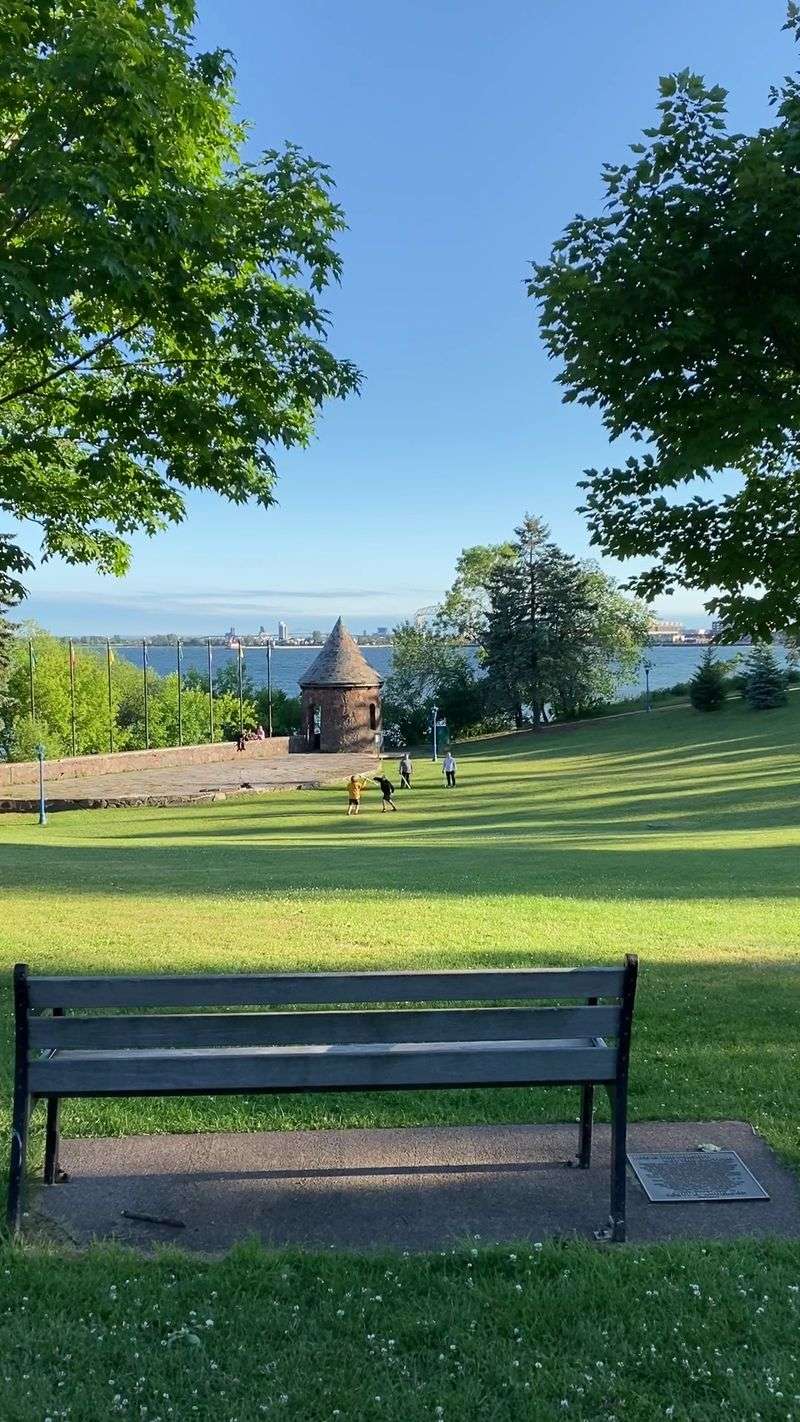 Picnics, Pets, and Peaceful Afternoons