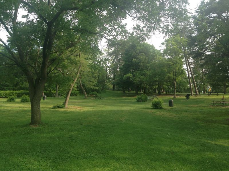 Picnics, Playground, And Amphitheater