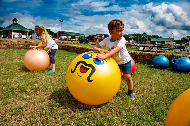 Pig Races, Pillow Jumps, and Plenty More