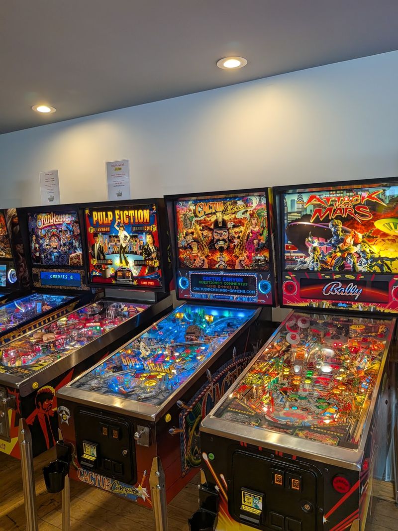 Pinball Paradise With Flippers Galore Pinball Paradise With Flippers Galore