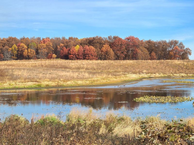 Pine Dunes Forest Preserve, Illinois, Antioch