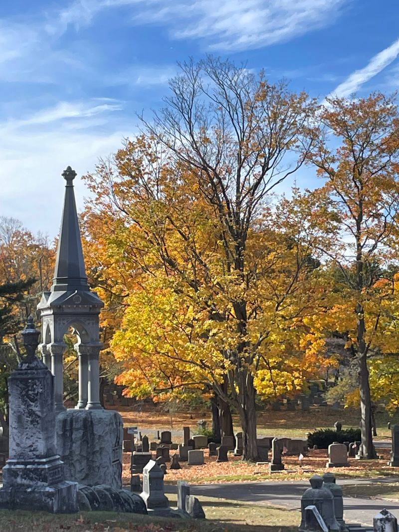 Pine Grove Cemetery Pine Grove Cemetery