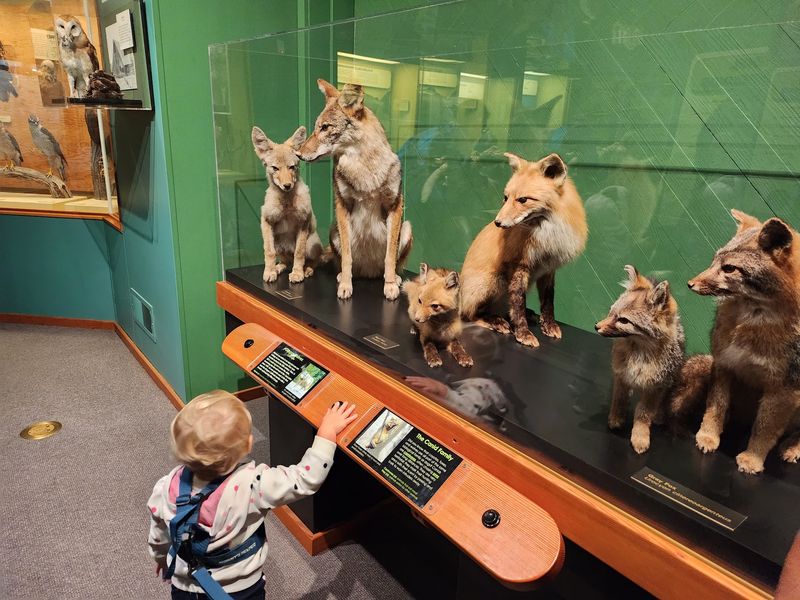 Play Spaces for Young Explorers
