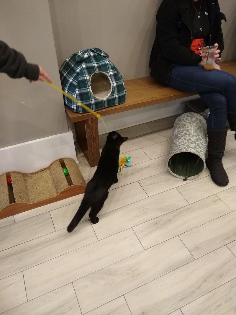Play With a Purpose