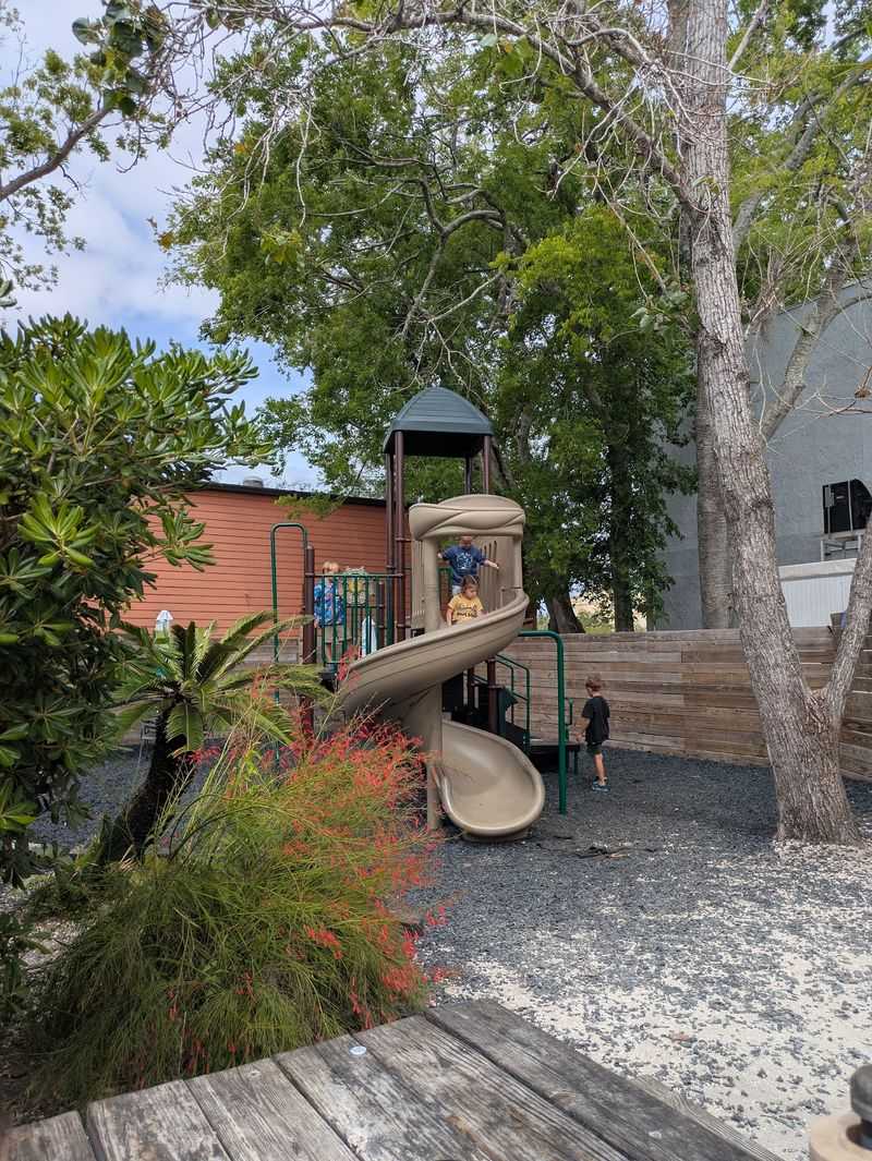 Playground Space for Kids and Room for Pups