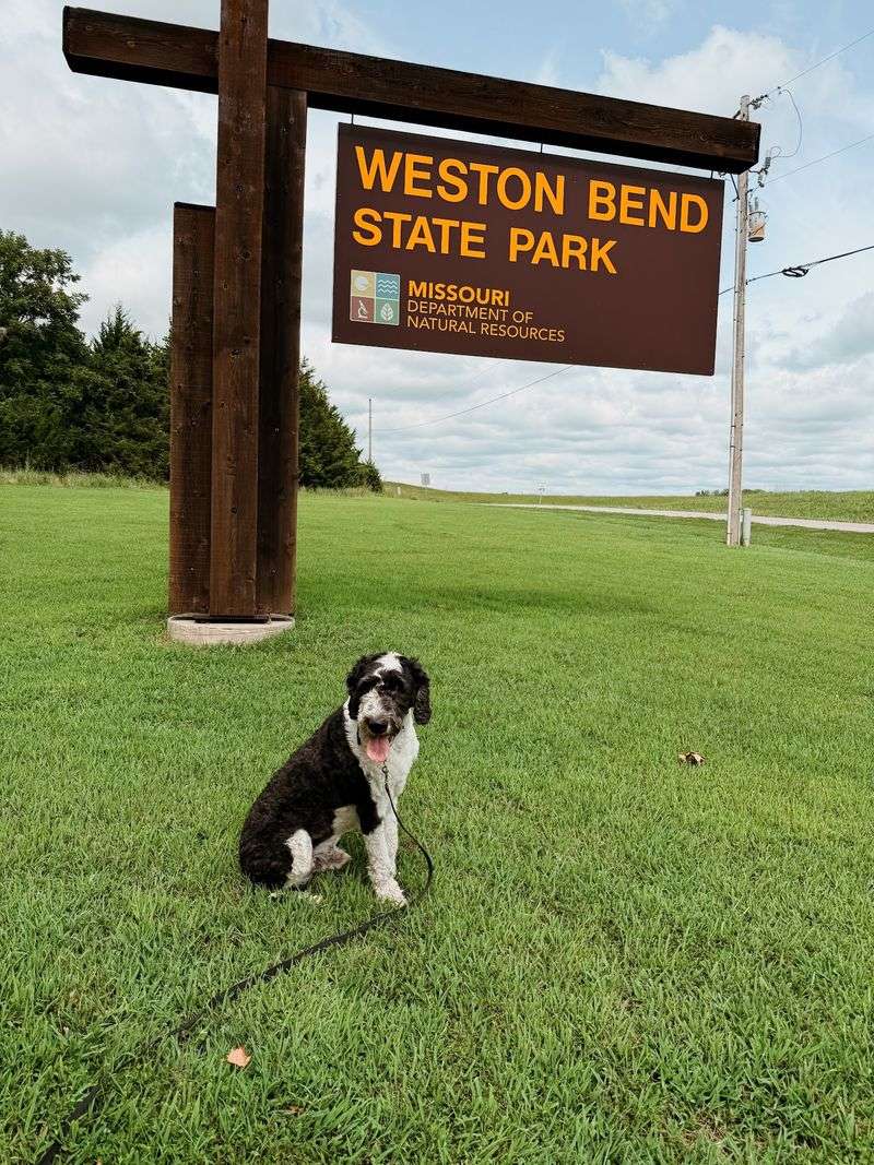Playgrounds, Picnics, and Paws
