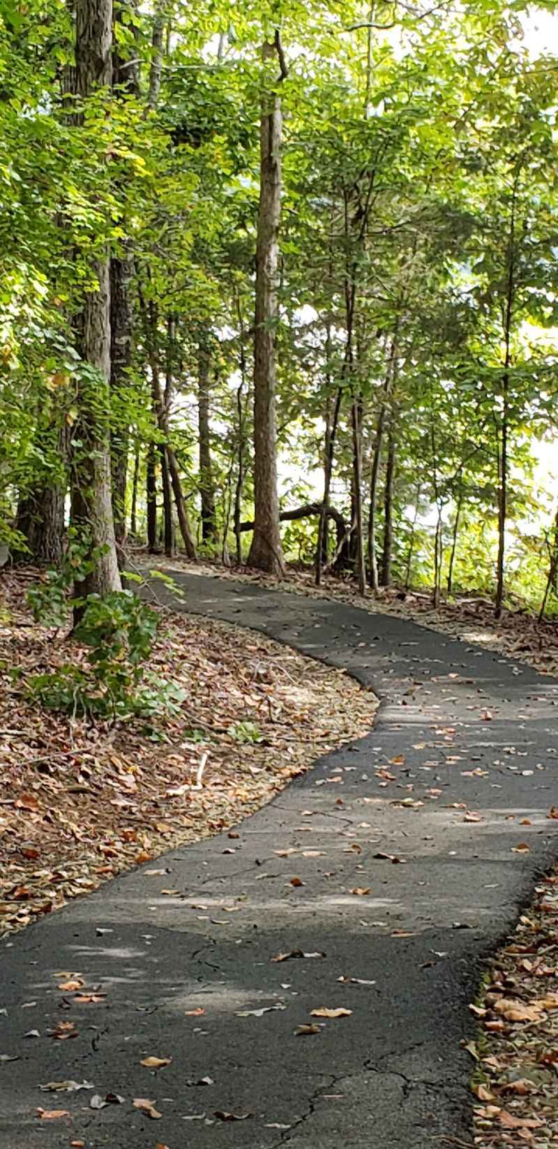 Playgrounds, Trails, and Paddles Playgrounds, Trails, and Paddles