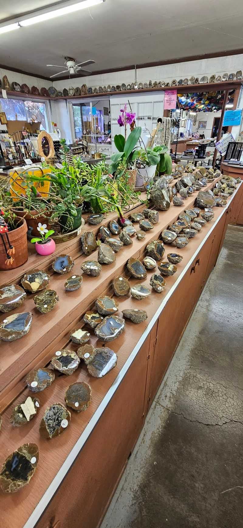 Polished Treasures and a Budget-Friendly Gift Shop Polished Treasures and a Budget-Friendly Gift Shop