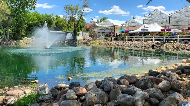Pond Views and Weekend Music Outside