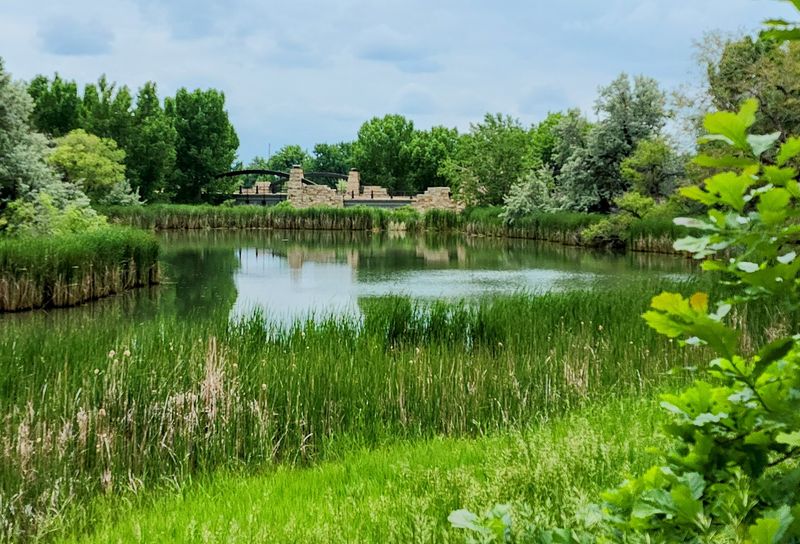 Ponds, Bridges, and a Hint of Wildlife Ponds, Bridges, and a Hint of Wildlife