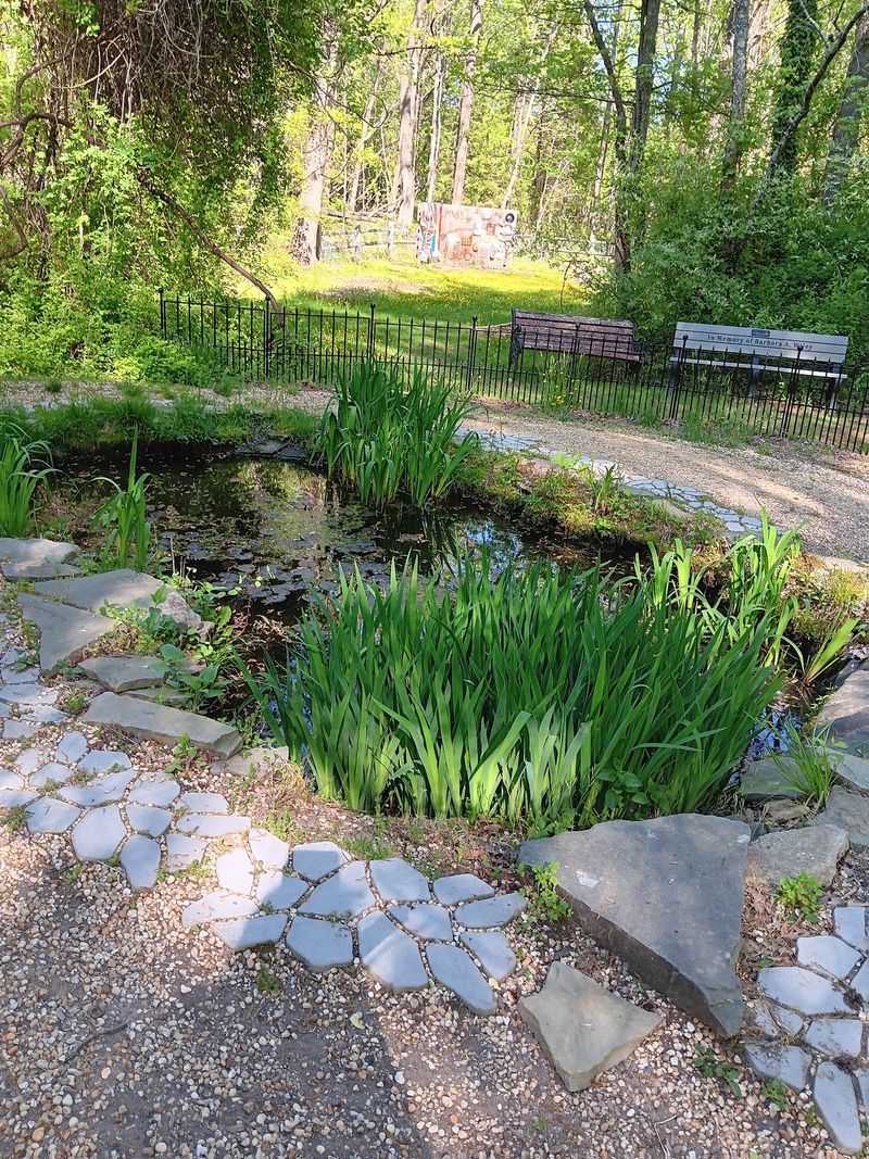 Ponds That Encourage Patient Exploration Ponds That Encourage Patient Exploration
