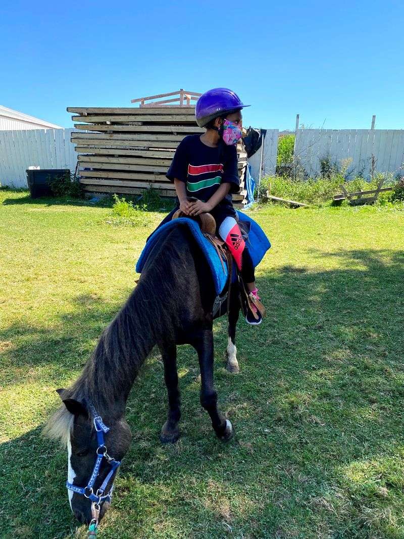 Pony Rides and a Petting Zoo for Little Ones Pony Rides and a Petting Zoo for Little Ones