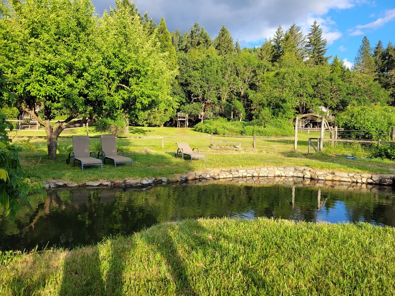 Pool Days and the Swimming Hole