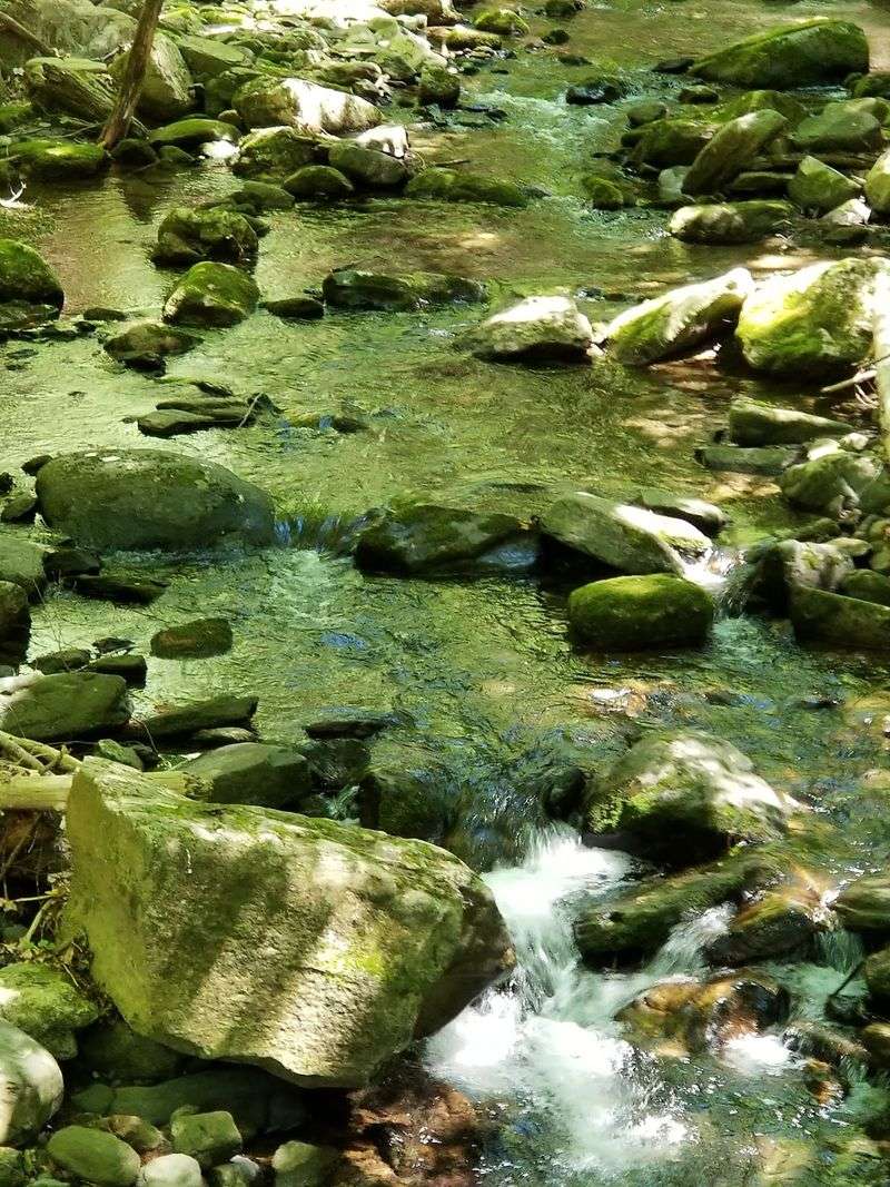Pools Along the Brook Pools Along the Brook