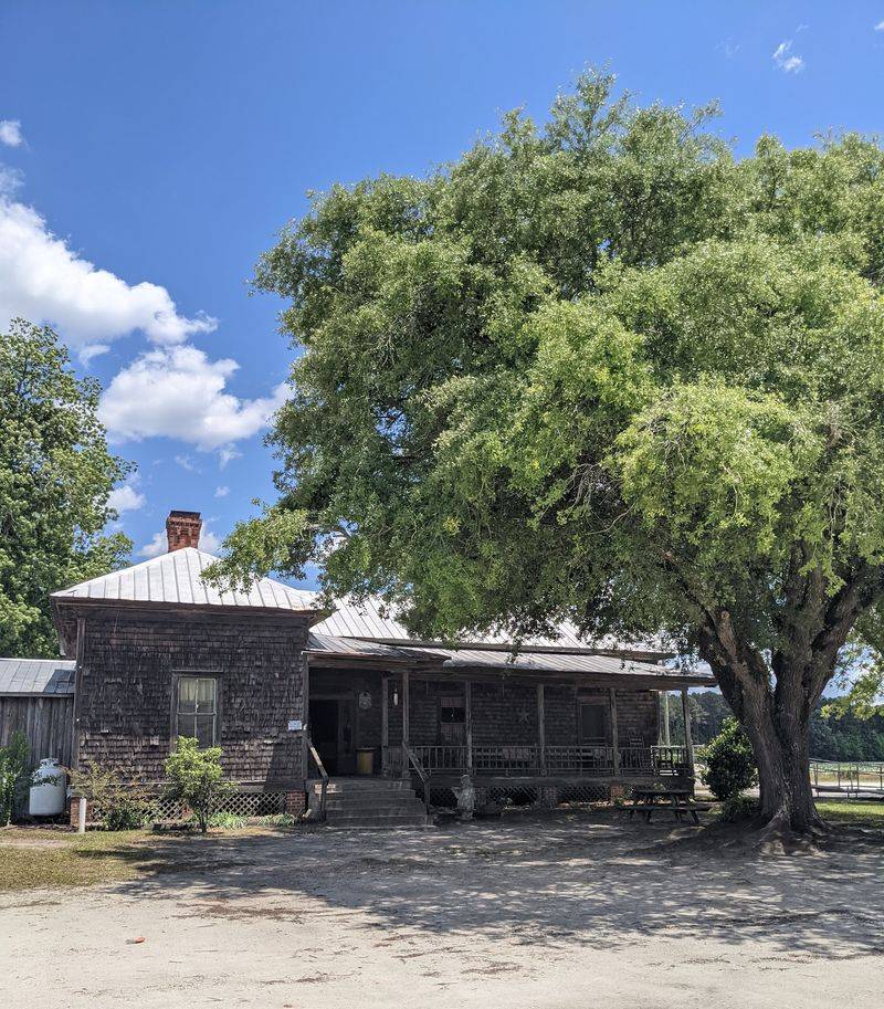 Porch, Paneling, and One Very Big Tree Porch, Paneling, and One Very Big Tree