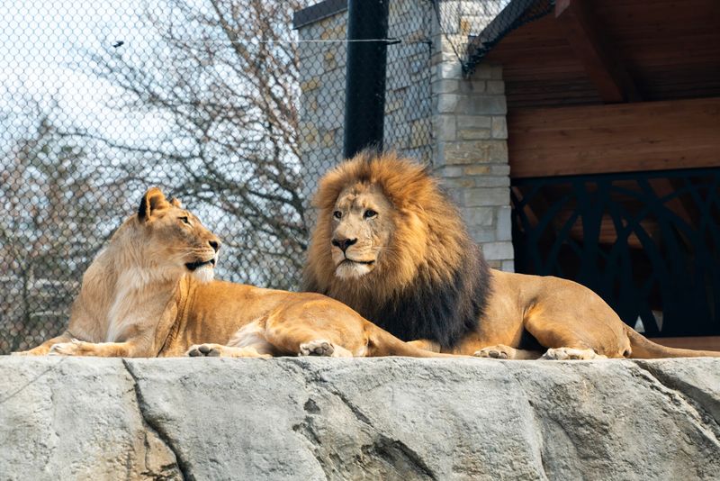 Potawatomi Zoo, South Bend, Indiana Potawatomi Zoo, South Bend, Indiana