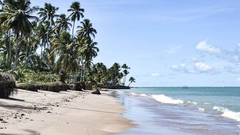 Praia do Patacho - Rota Ecológica dos Milagres Praia do Patacho - Rota Ecológica dos Milagres