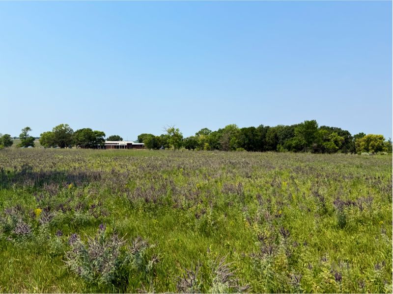 Prairie Wildlife and Wildflowers Prairie Wildlife and Wildflowers