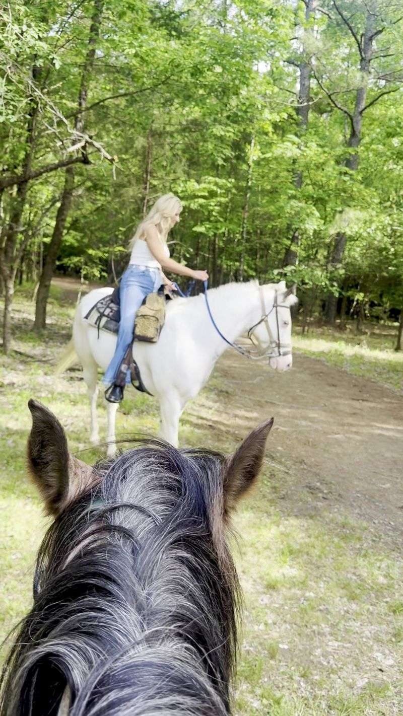 Private Rides and Two-Hour Treks