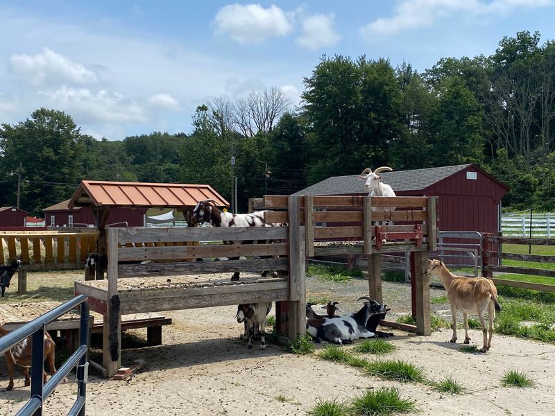 Private Tours, Farm Stays, and Forest Weddings Private Tours, Farm Stays, and Forest Weddings