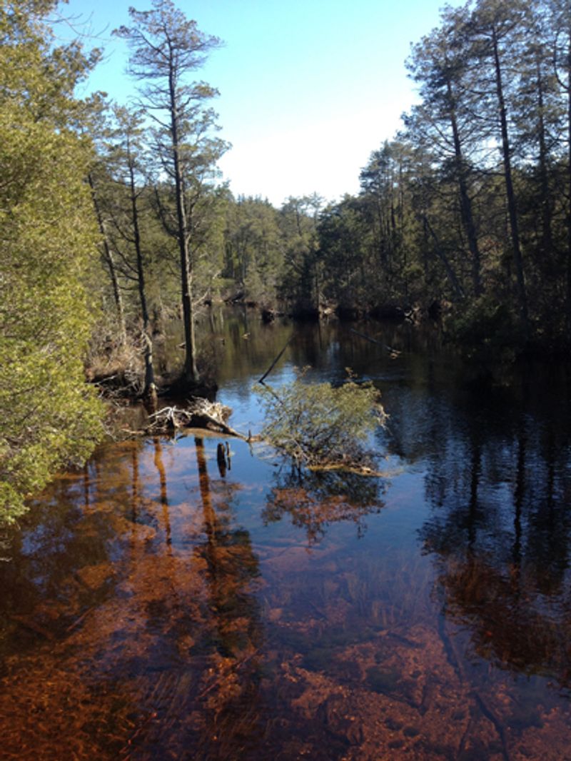 Protected Land as the Main Story