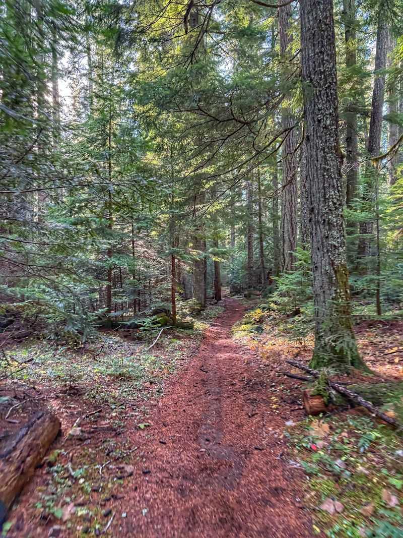 Pump Track, Creek Play, and Wandering Trails
