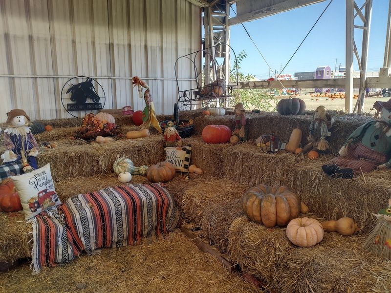Pumpkin Town Farms | Pumpkin Patch Tulsa, Tulsa, OK Pumpkin Town Farms | Pumpkin Patch Tulsa, Tulsa, OK
