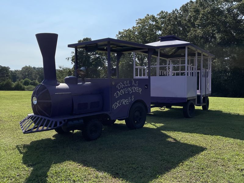 Purple Train Rides, Mini Golf, and a Standout Playground Purple Train Rides, Mini Golf, and a Standout Playground