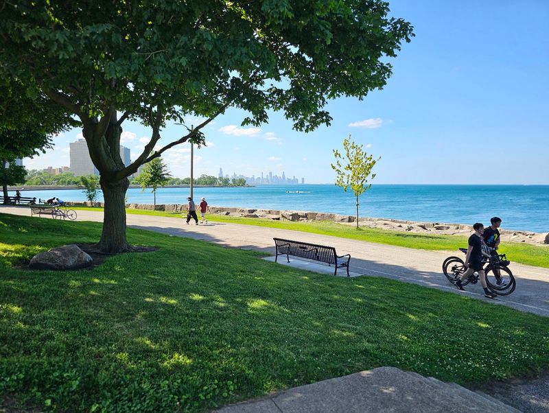 Quiet Corners for Dogs, Bikes, and Daydreams