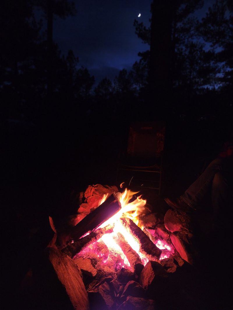 Quiet Nights Under the Pines