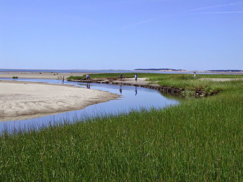Quiet Shoreline on the Bay