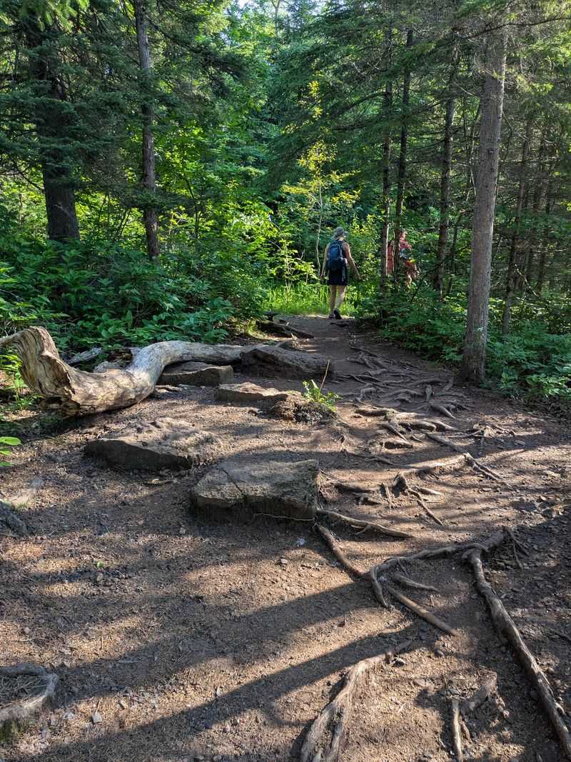 Quieter Trails For Hikers Who Want A Real Workout