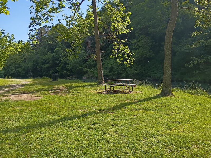 RV Sites and Tent Spots Under Tall Trees RV Sites and Tent Spots Under Tall Trees