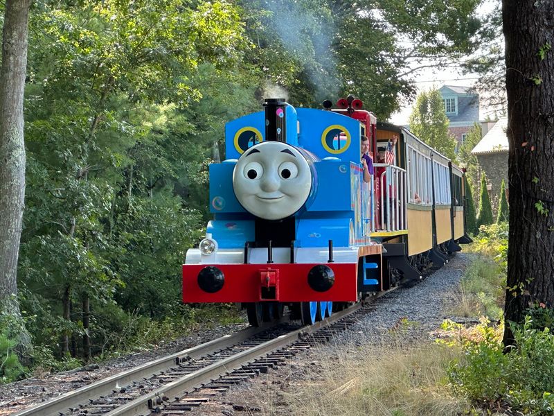 Rails Through the Bogs